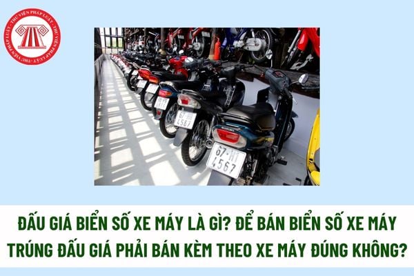 Đấu giá biển số xe máy là gì? Để bán biển số xe máy trúng đấu giá phải bán kèm theo xe máy đúng không? 