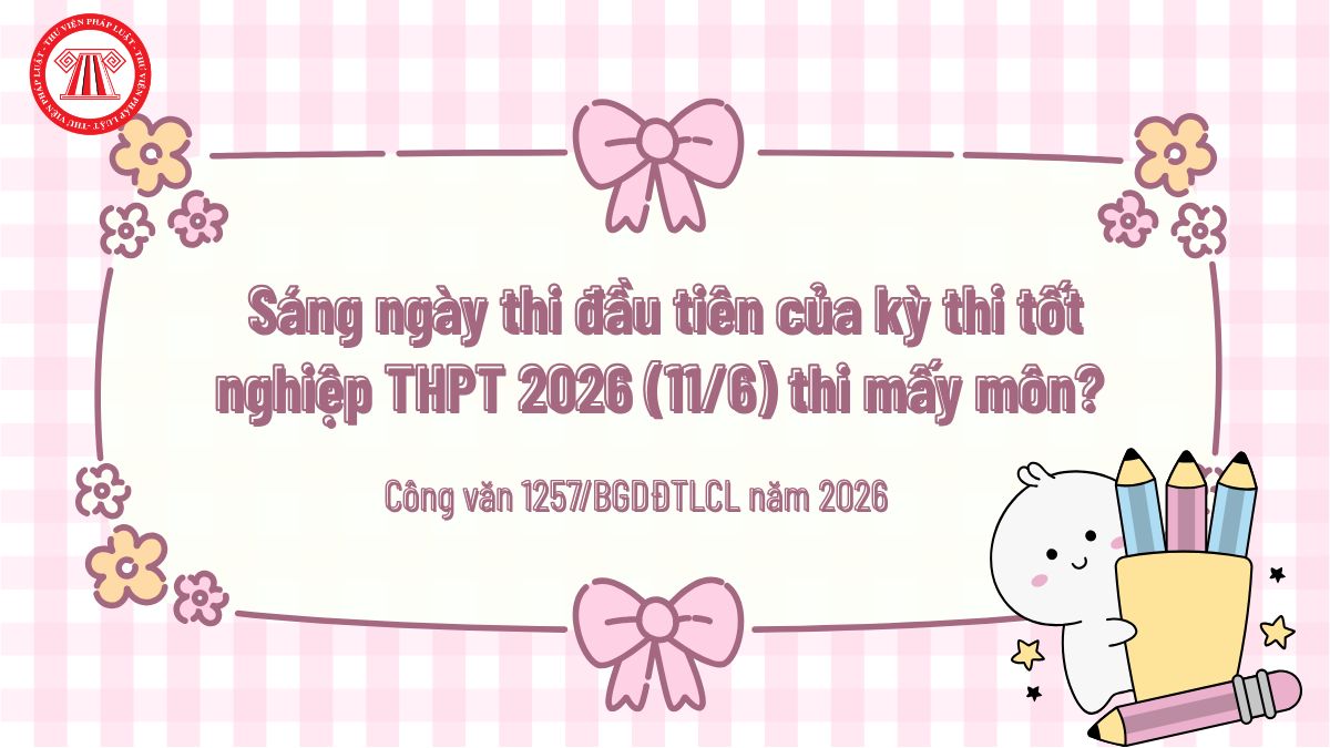 Pháp luật
