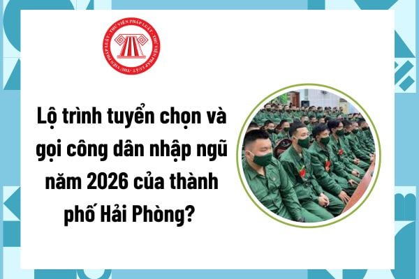 Pháp luật