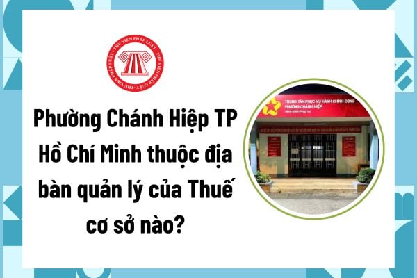 Pháp luật