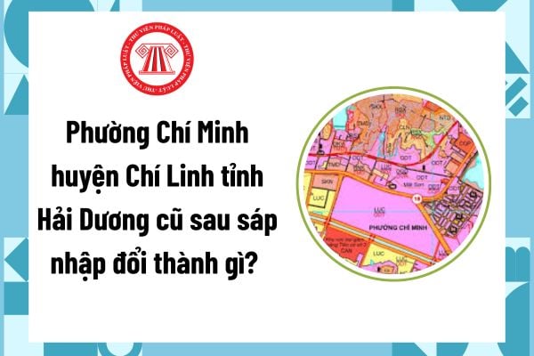 Pháp luật