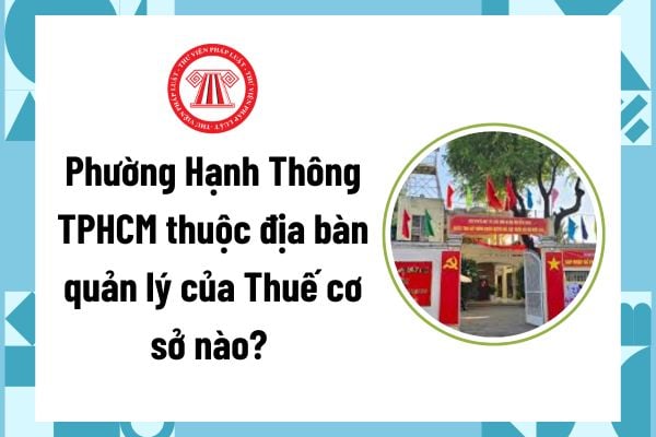 Pháp luật