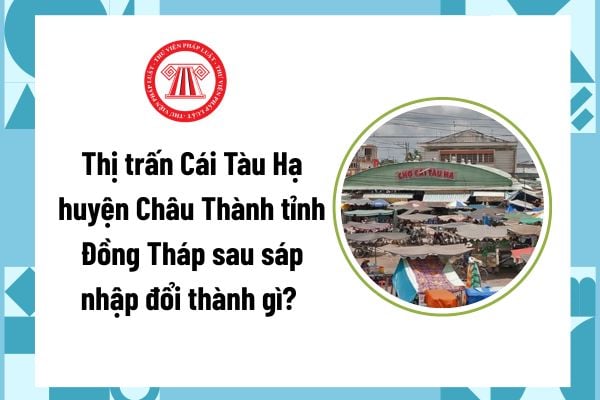 Pháp luật