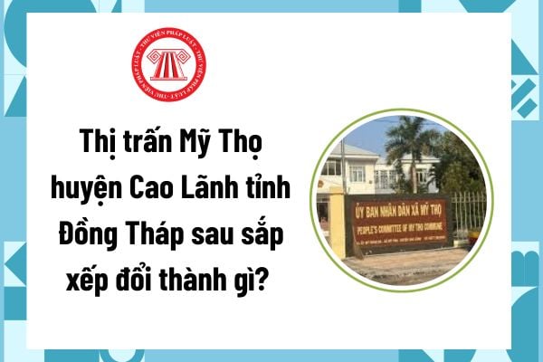 Pháp luật