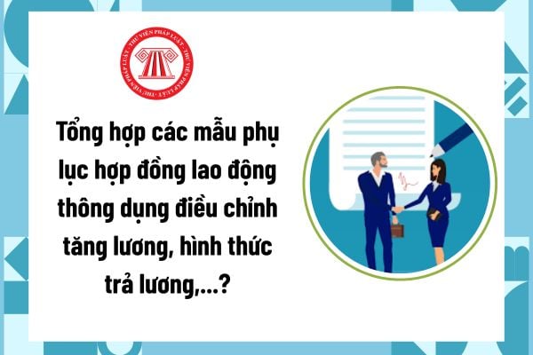 Pháp luật