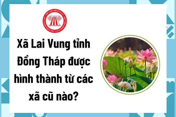 Pháp luật