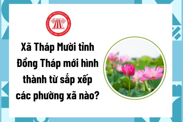 Pháp luật