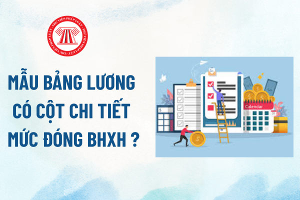 Pháp luật