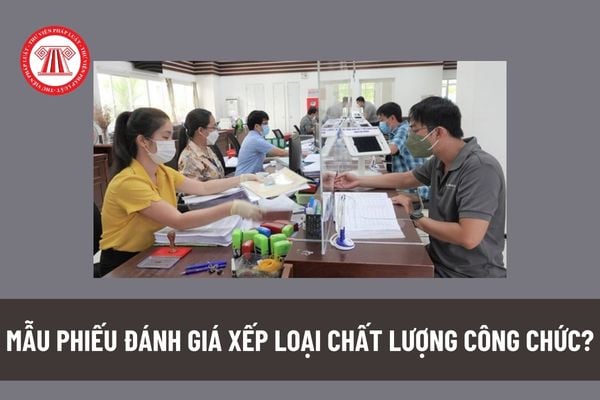 Mẫu phiếu đánh giá xếp loại chất lượng công chức? Công chức được xếp loại chất lượng ở mức hoàn thành xuất sắc khi đạt tiêu chí nào? 