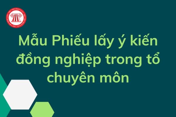 Mẫu phiếu lấy ý kiến của đồng nghiệp trong tổ chuyên môn đối với giáo viên mầm non mới nhất? Tải về tại đâu? 