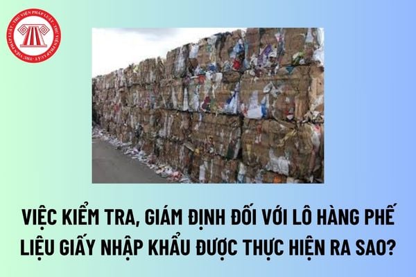 Lô hàng phế liệu giấy nhập khẩu là gì? Việc kiểm tra, giám định đối với lô hàng phế liệu giấy nhập khẩu được thực hiện ra sao? 