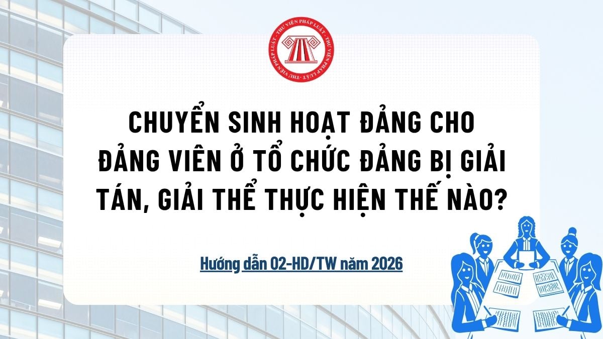 Pháp luật