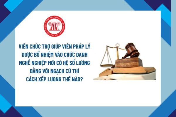 Pháp luật