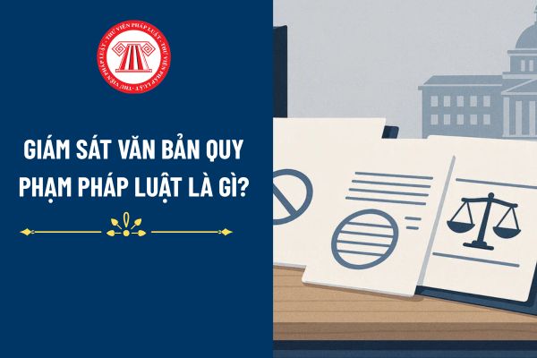 Pháp luật