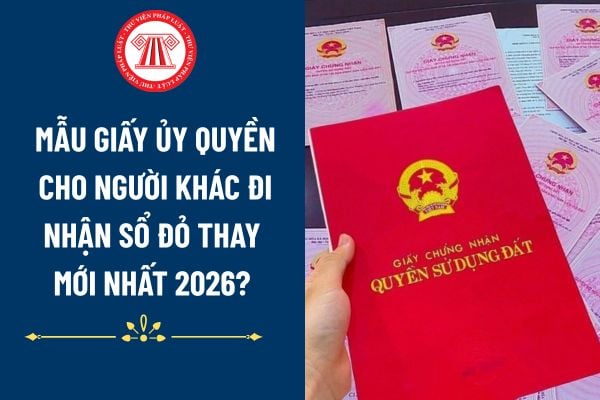 Mẫu giấy ủy quyền cho người khác đi nhận sổ đỏ thay mới nhất 2026? Tải Mẫu giấy ủy quyền nhận sổ đỏ file word?