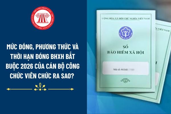 Pháp luật