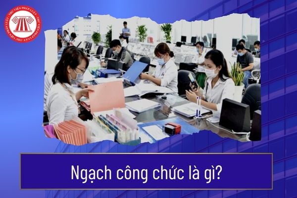 Pháp luật