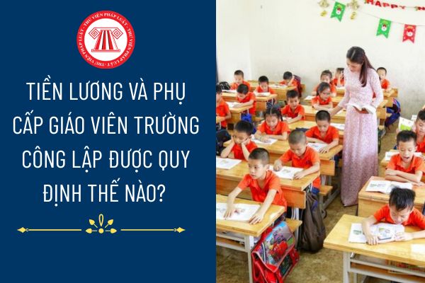 Pháp luật