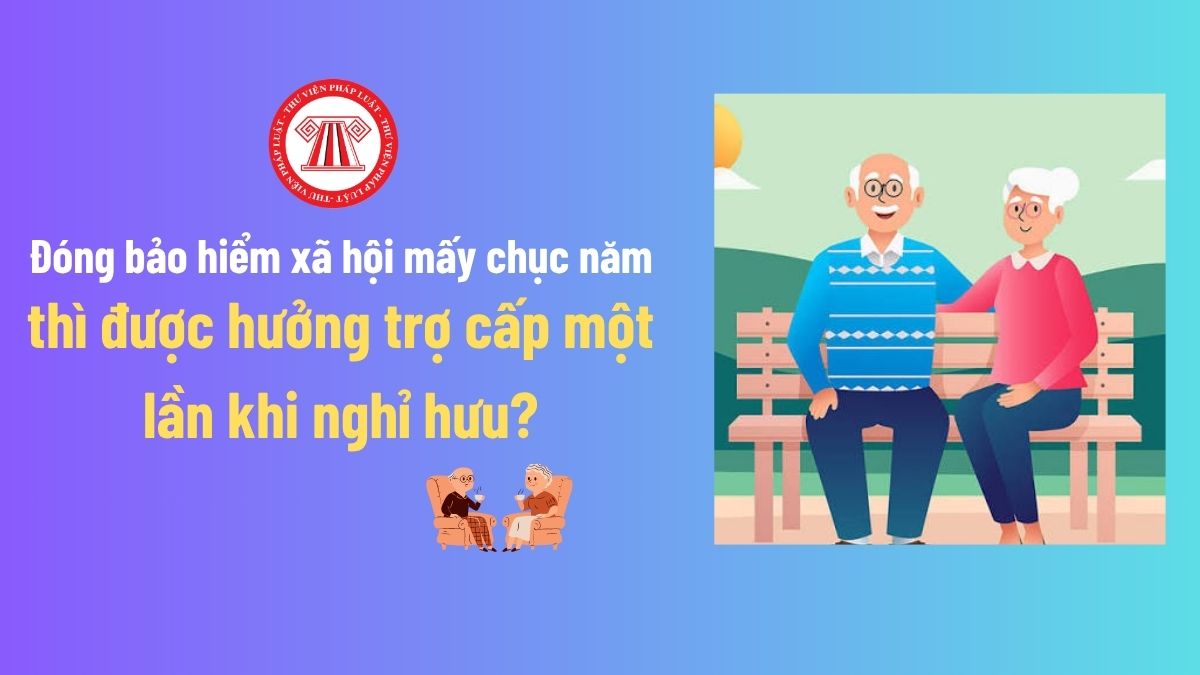 Pháp luật