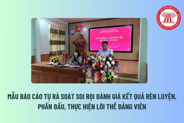 Mẫu báo cáo tự rà soát soi rọi đánh giá kết quả rèn luyện, phấn đấu, thực hiện lời thề đảng viên? Tải mẫu tại đâu? 