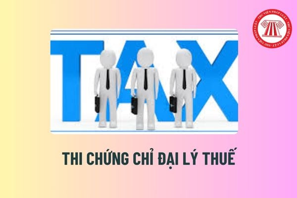 Người nước ngoài được cư trú tại Việt Nam 6 tháng thi chứng chỉ đại lý thuế được không? Hồ sơ dự thi đại lý thuế gồm những gì?