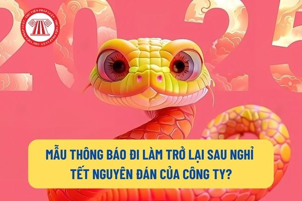 Mẫu Thông báo đi làm trở lại sau nghỉ Tết Nguyên đán của công ty? Hướng dẫn soạn thảo thông báo đi làm trở lại sau nghỉ Tết? 