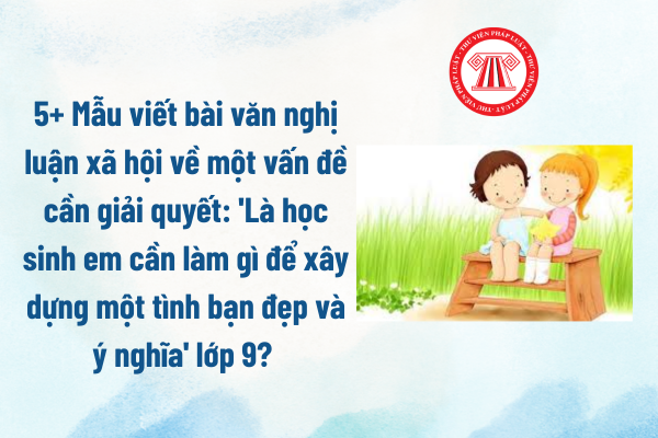 Pháp luật