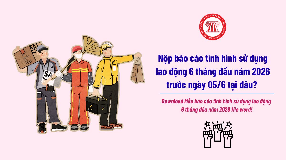 Pháp luật