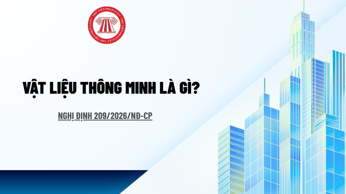 Pháp luật