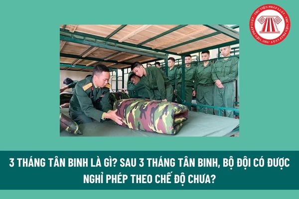 3 tháng tân binh là gì? Sau 3 tháng tân binh, bộ đội có được nghỉ phép theo chế độ chưa? Bố mẹ làm nghề gì thì con được miễn đi bộ đội? 