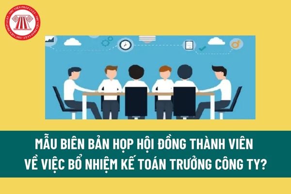 Mẫu biên bản họp hội đồng thành viên về việc bổ nhiệm kế toán trưởng công ty? Kế toán trưởng có những trách nhiệm gì?