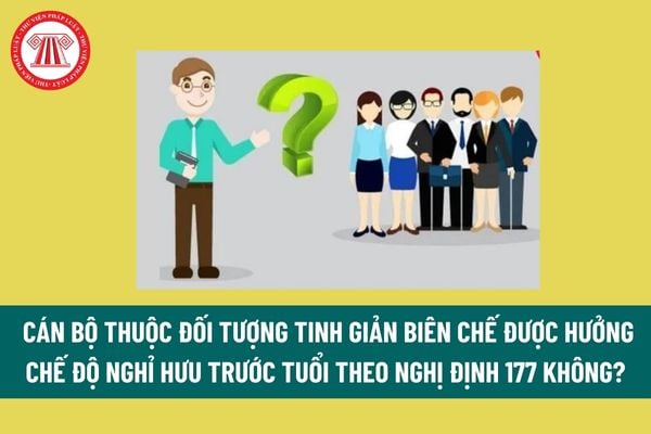 Cán bộ thuộc đối tượng tinh giản biên chế được hưởng chế độ nghỉ hưu trước tuổi theo Nghị định 177 không? Đơn xin nghỉ hưu trước tuổi theo Nghị định 177? 