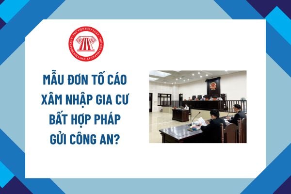 Pháp luật