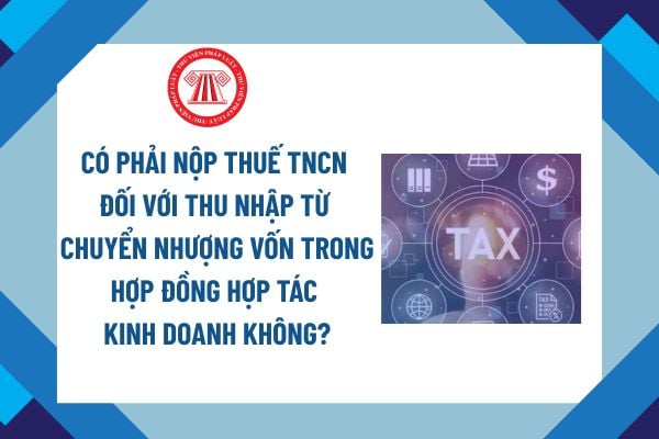 Pháp luật