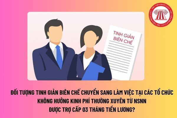 Đối tượng tinh giản biên chế chuyển sang làm việc tại các tổ chức không hưởng kinh phí thường xuyên từ NSNN được trợ cấp 03 tháng tiền lương? 