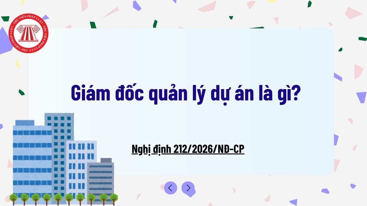 Pháp luật