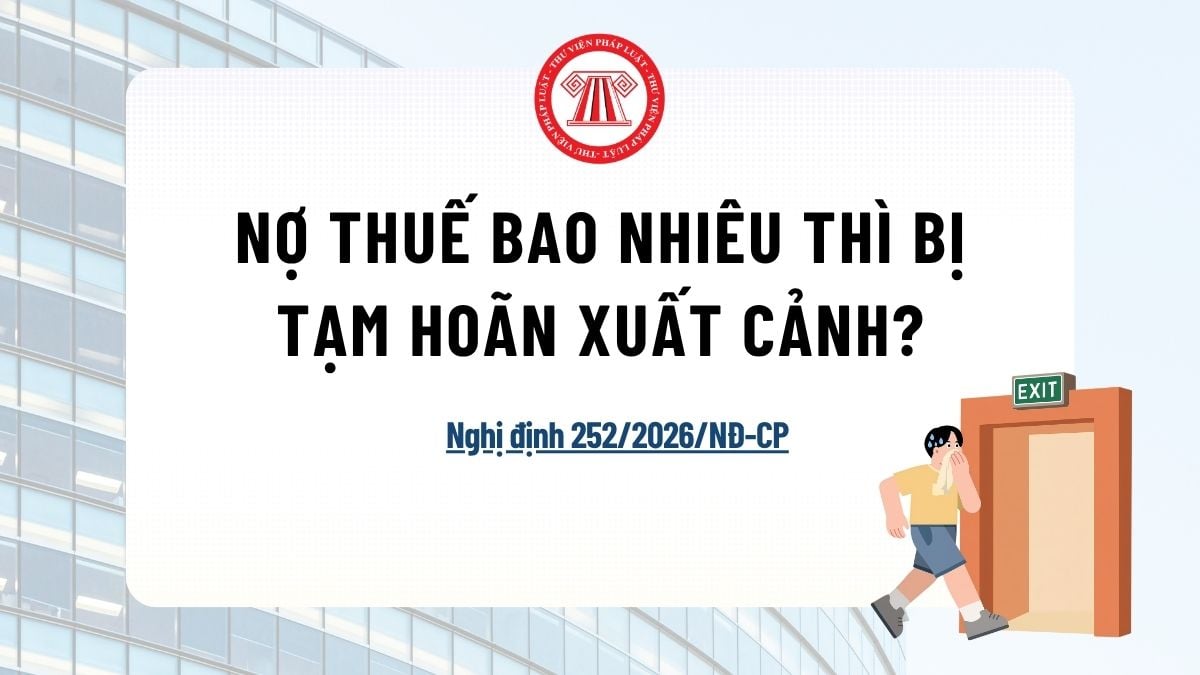 Pháp luật