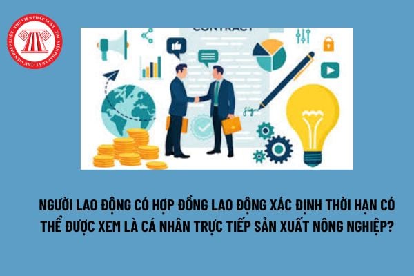 Người lao động có hợp đồng lao động xác định thời hạn có thể được xem là cá nhân trực tiếp sản xuất nông nghiệp?