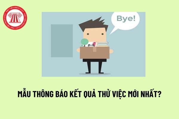 Mẫu thông báo kết quả thử việc mới nhất? Có phải thông báo kết quả thử việc không đạt cho người lao động không?