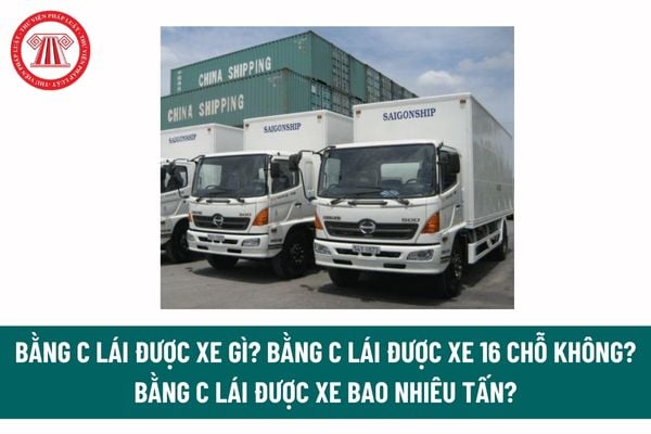 Bằng C lái được xe gì? Bằng C lái được xe 16 chỗ không? Bằng C lái được xe bao nhiêu tấn? Bao nhiêu tuổi thì được thi cấp bằng C? 