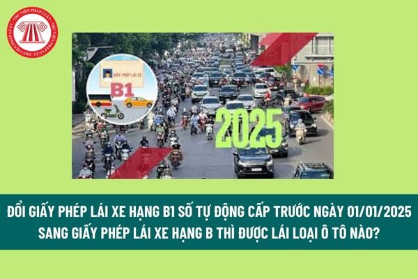 Đổi giấy phép lái xe hạng B1 số tự động cấp trước ngày 01/01/2025 sang giấy phép lái xe hạng B thì được lái loại ô tô nào? 