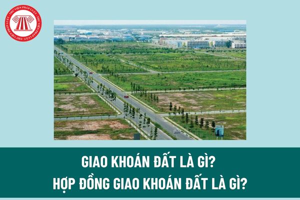 Hợp đồng giao khoán đất là gì? Điều kiện hỗ trợ ổn định sản xuất, kinh doanh khi thu hồi đất đối với hộ gia đình sử dụng đất do nhận giao khoán? 