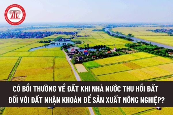 Có bồi thường về đất khi Nhà nước thu hồi đất đối với đất nhận khoán để sản xuất nông nghiệp không? 