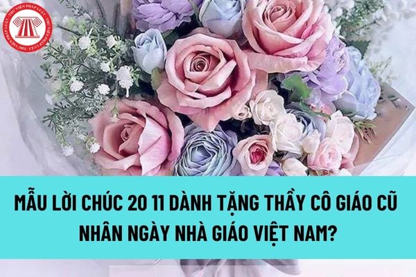 Mẫu lời chúc 20 11 dành tặng thầy cô giáo cũ nhân ngày Nhà giáo Việt Nam? Nhà giáo có các quyền nào? 