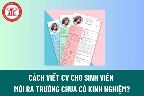 Cách viết CV cho sinh viên mới ra trường chưa có kinh nghiệm? Thời gian thử việc tối đa của sinh viên mới ra trường là bao lâu?