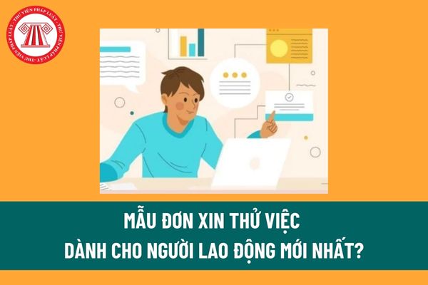 Mẫu Đơn xin thử việc công việc mới dành cho người lao động mới nhất? 