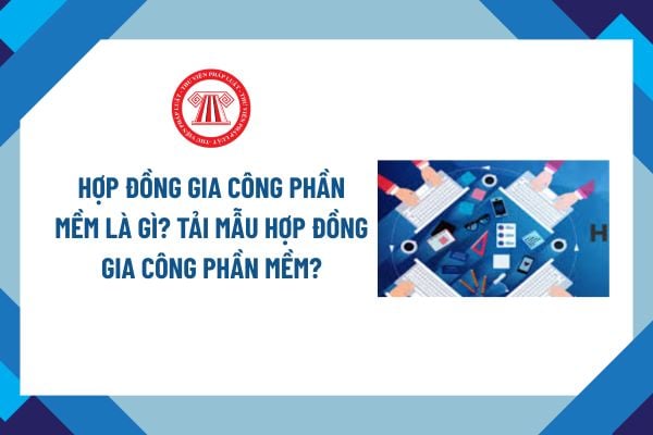 Pháp luật