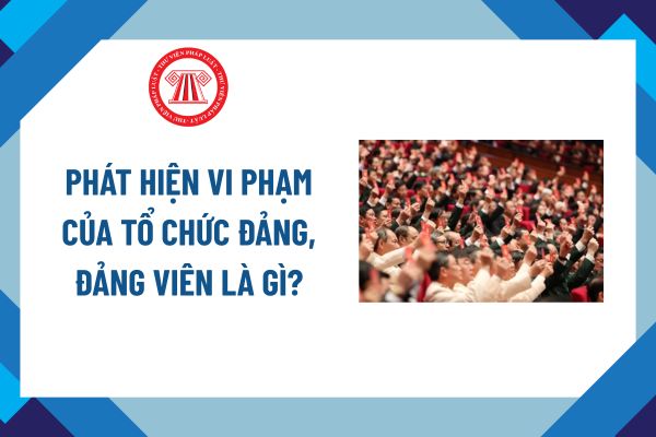 Pháp luật