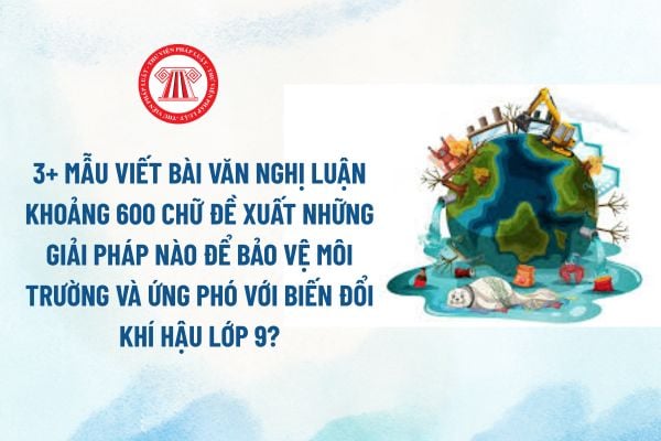 Pháp luật