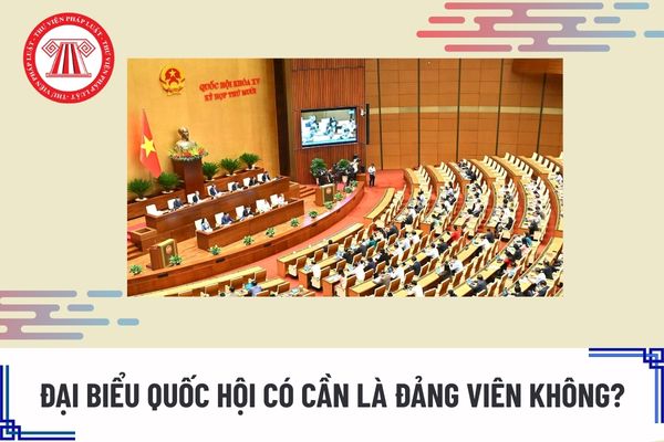Pháp luật